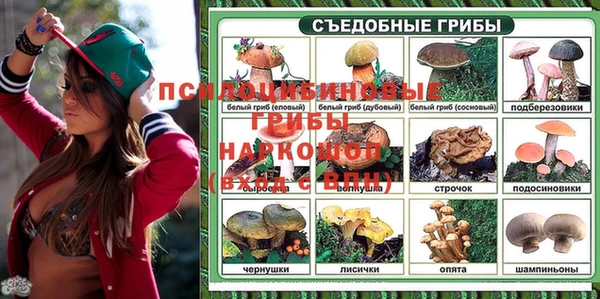 прущий лед Инта