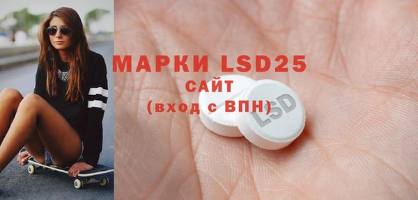 ALPHA PVP Инсар