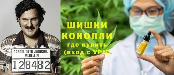 ALPHA PVP Инсар